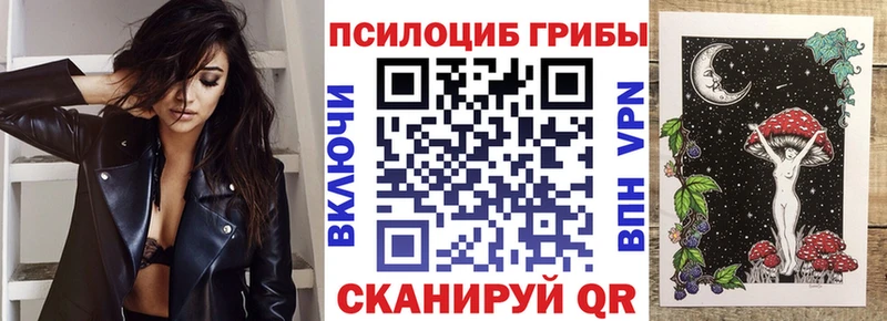 купить  цена  Среднеколымск  Псилоцибиновые грибы прущие грибы 